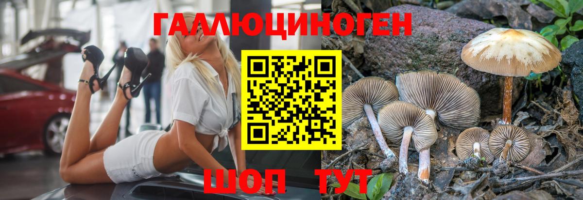 Псилоцибиновые грибы мицелий Коркино