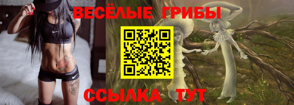 Коркино  Галлюциногенные грибы мицелий  Псилоцибиновые грибы Cubensis  Вход с VPN 